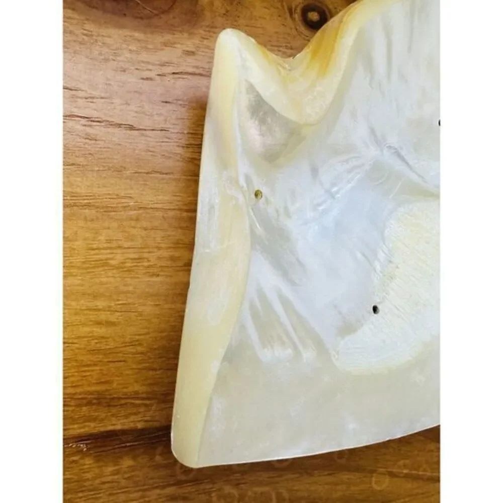 Vintage Large Genuine‎ Mother Of Pearl Sea Shell Caviar Dish Trinket Tray Plate